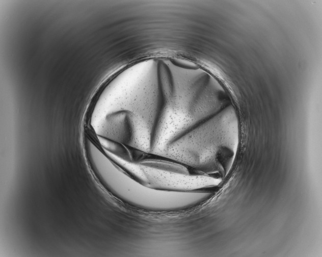 X0000095541042200801111429