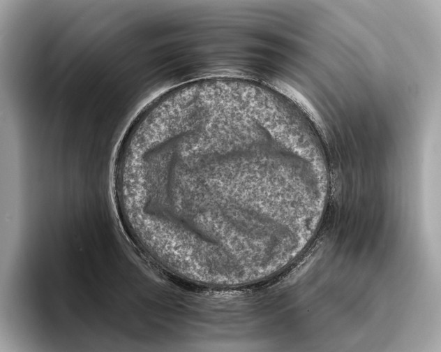 X0000095541043200801111429