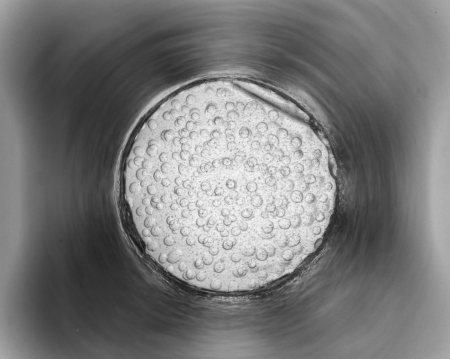 X0000095541044200801111429