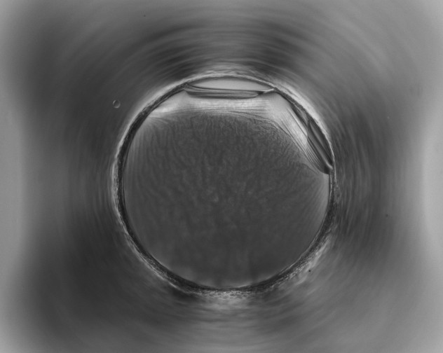 X0000095541045200801111429