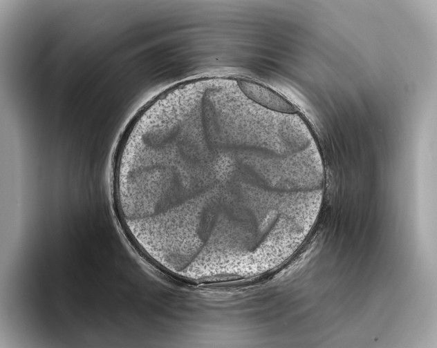 X0000095541046200801111429