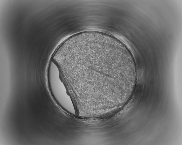 X0000095541048200801111429