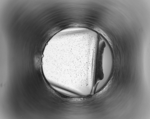 X0000095541049200801111429