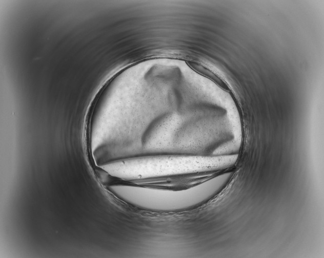 X0000095541050200801111429