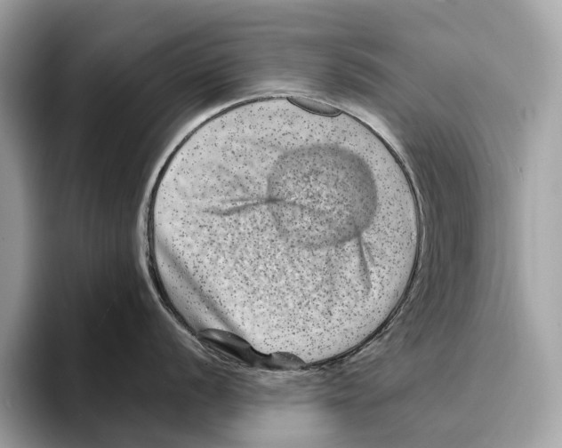 X0000095541056200801111429