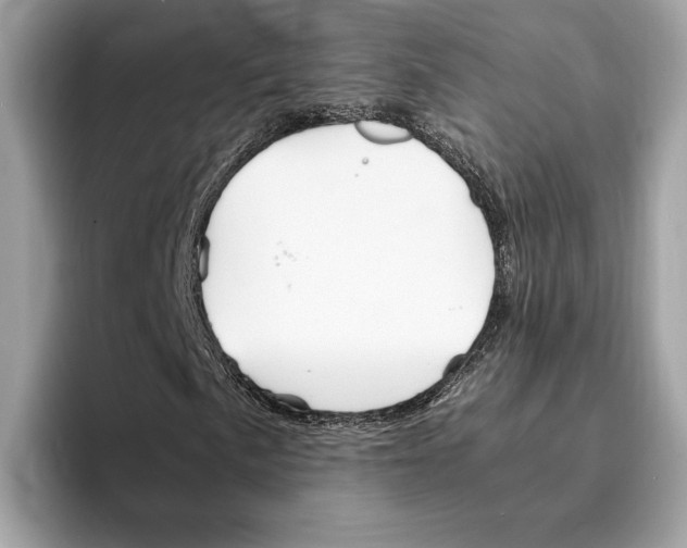 X0000095541057200801111429