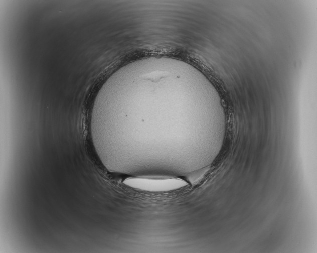 X0000095541058200801111429