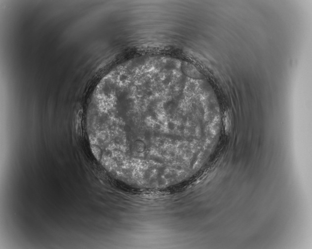 X0000095541059200801111429