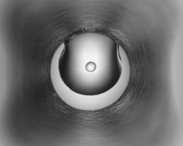 X0000095541060200801111429