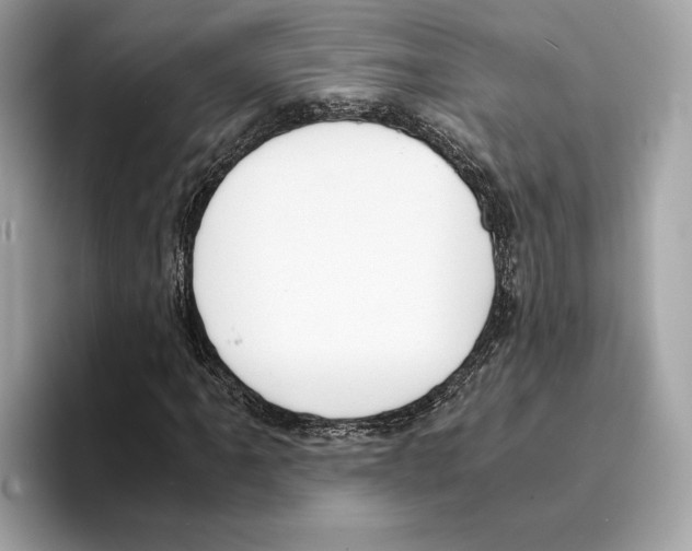 X0000095541061200801111429