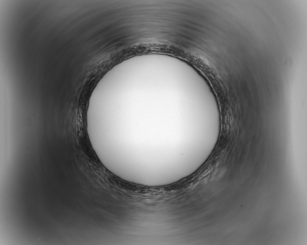 X0000095541062200801111429