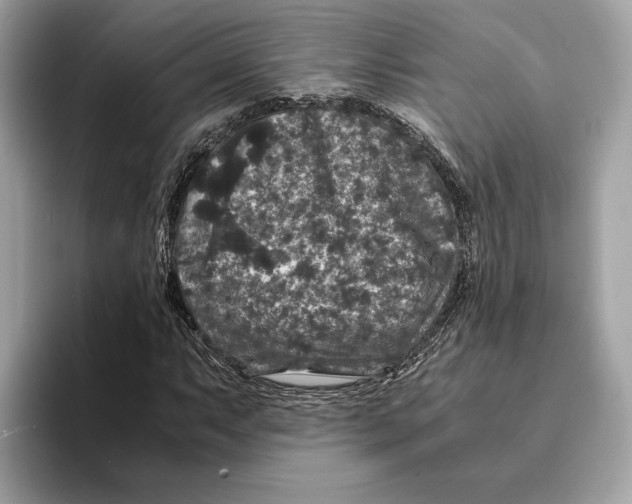 X0000095541063200801111429