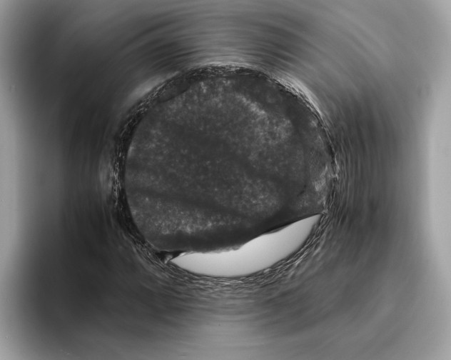 X0000095541064200801111429