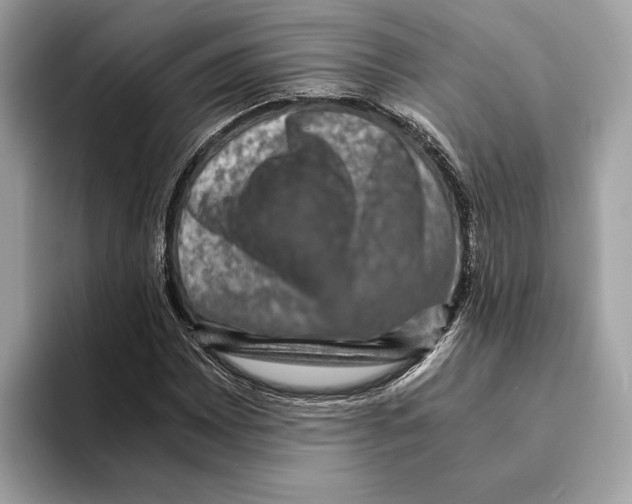 X0000095541065200801111429