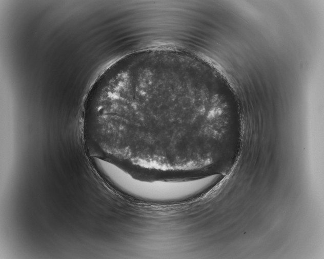 X0000095541066200801111428