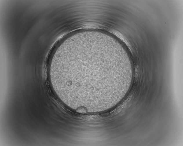 X0000095541067200801111428