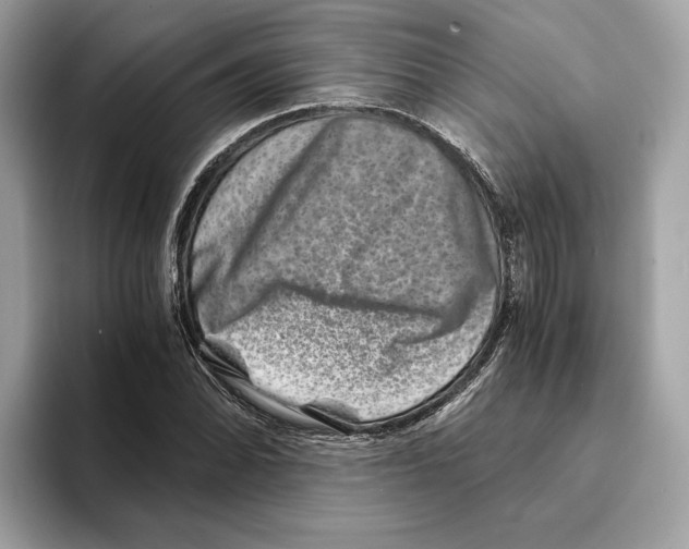 X0000095541070200801111428