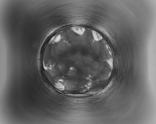 X0000095541071200801111428