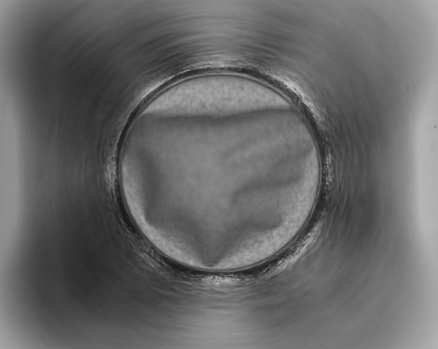 X0000095541073200801111428