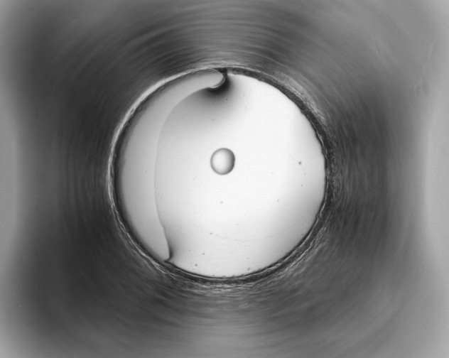 X0000095541076200801111428