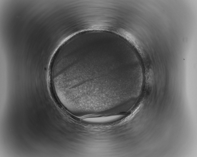 X0000095541077200801111428