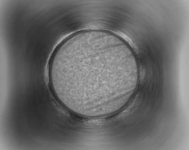 X0000095541078200801111428