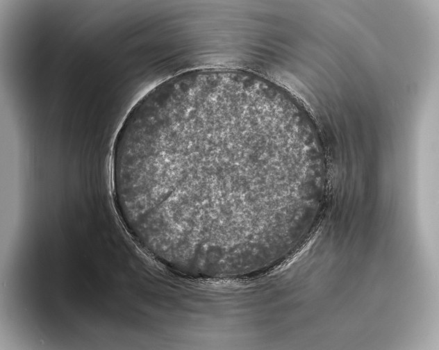 X0000095541079200801111428