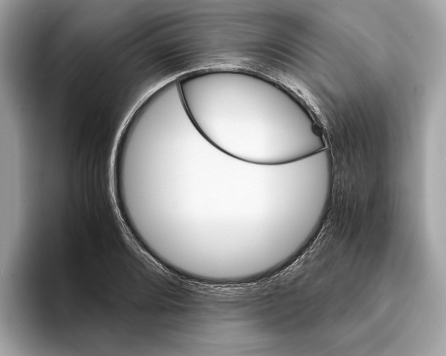 X0000095541080200801111428