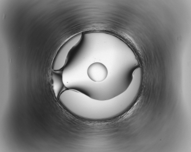 X0000095541081200801111428