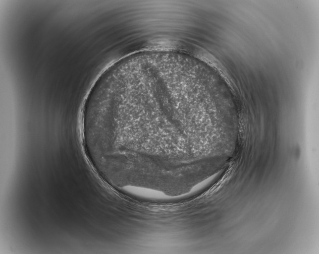 X0000095541083200801111428