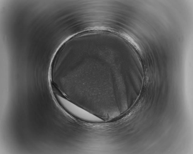 X0000095541084200801111428