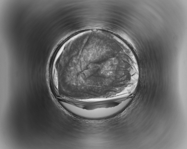 X0000095541088200801111428