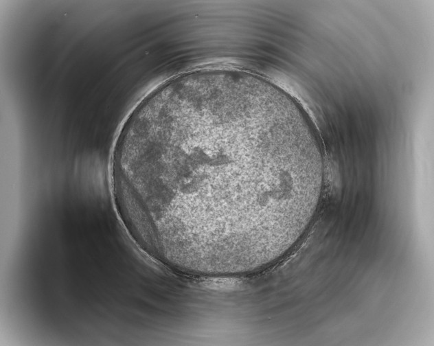 X0000095541090200801111428