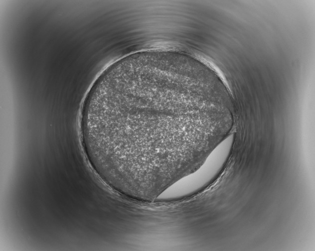 X0000095541091200801111428