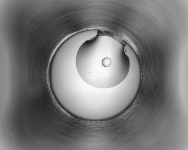 X0000095541092200801111428