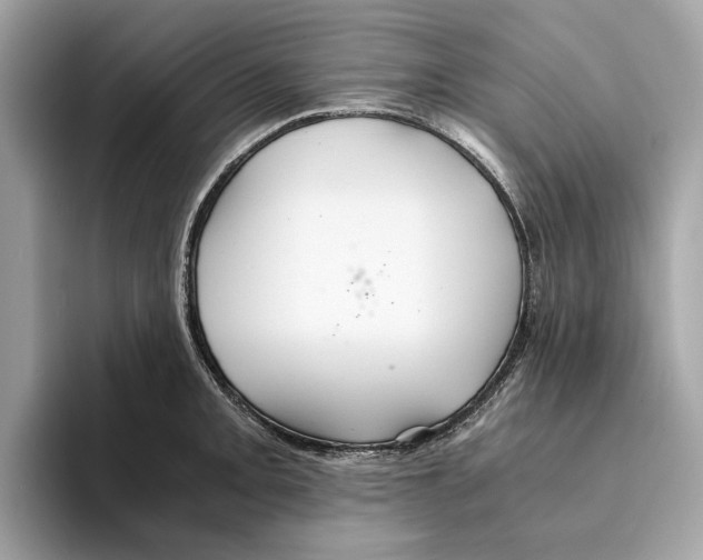 X0000095541093200801111428