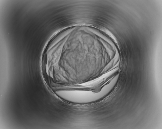 X0000095541096200801111428