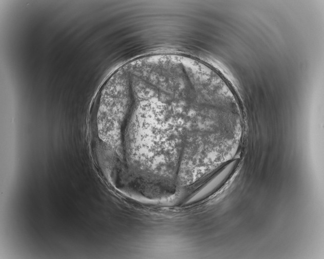 X0000095541097200801111428