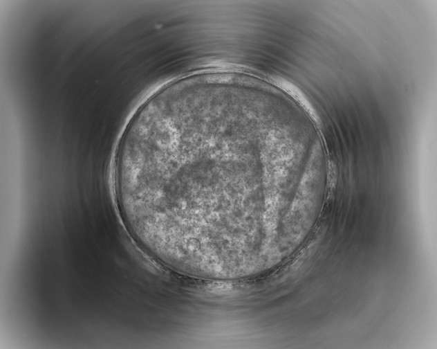 X0000095541098200801111428