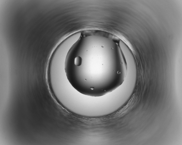 X0000095541101200801111428