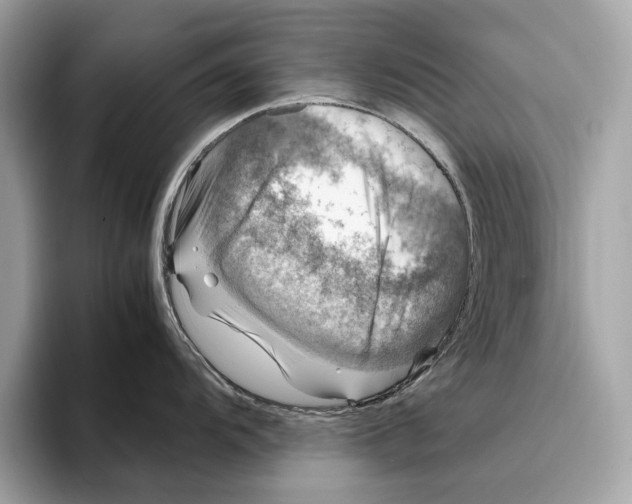 X0000095541104200801111428