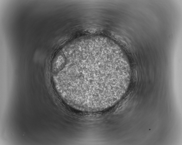 X0000095541105200801111427