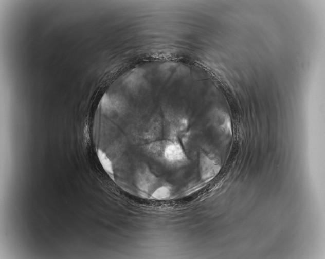 X0000095541106200801111427