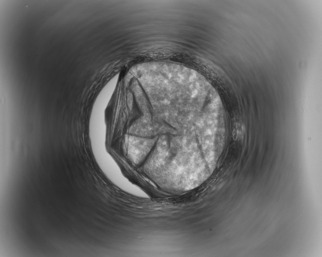 X0000095541108200801111427