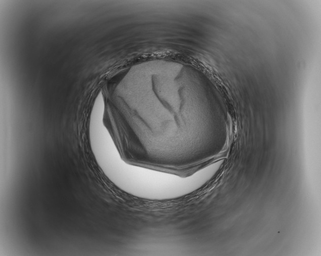 X0000095541109200801111427