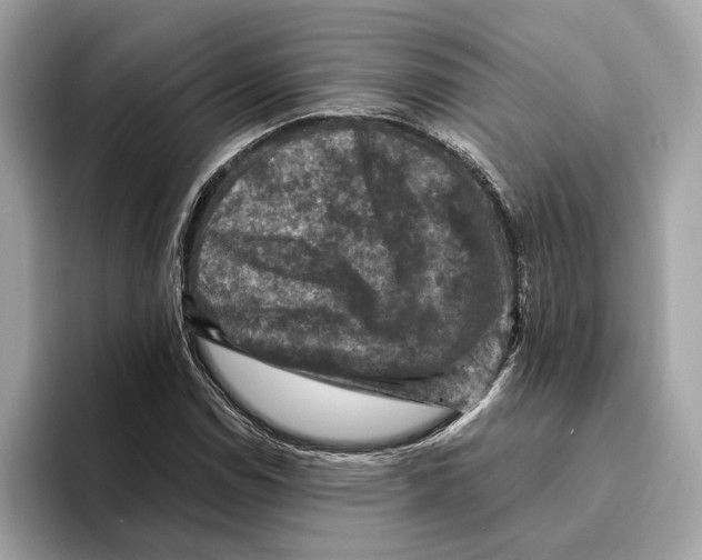 X0000095541114200801111427