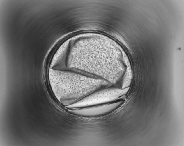 X0000095541116200801111428