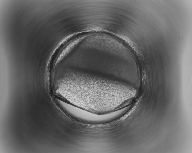 X0000095541118200801111428