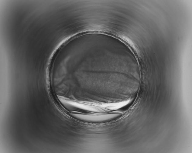 X0000095541120200801111428