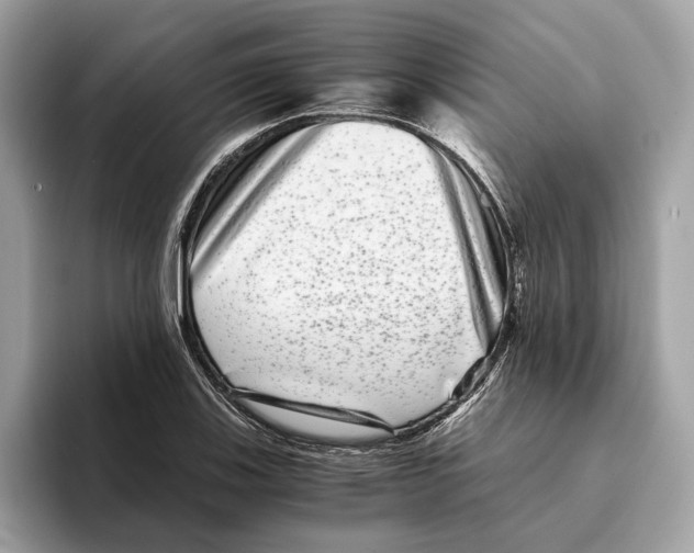 X0000095541123200801111428